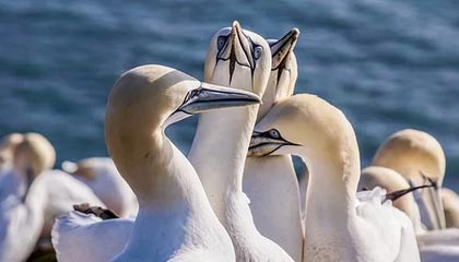 开云体育官方网站登陆-山东队击败深圳，锁定季后赛资格，山东队击败深圳,锁定季后赛资格了吗